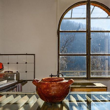 La Limonaia Di Casagrande Villa Барга Екстериор снимка