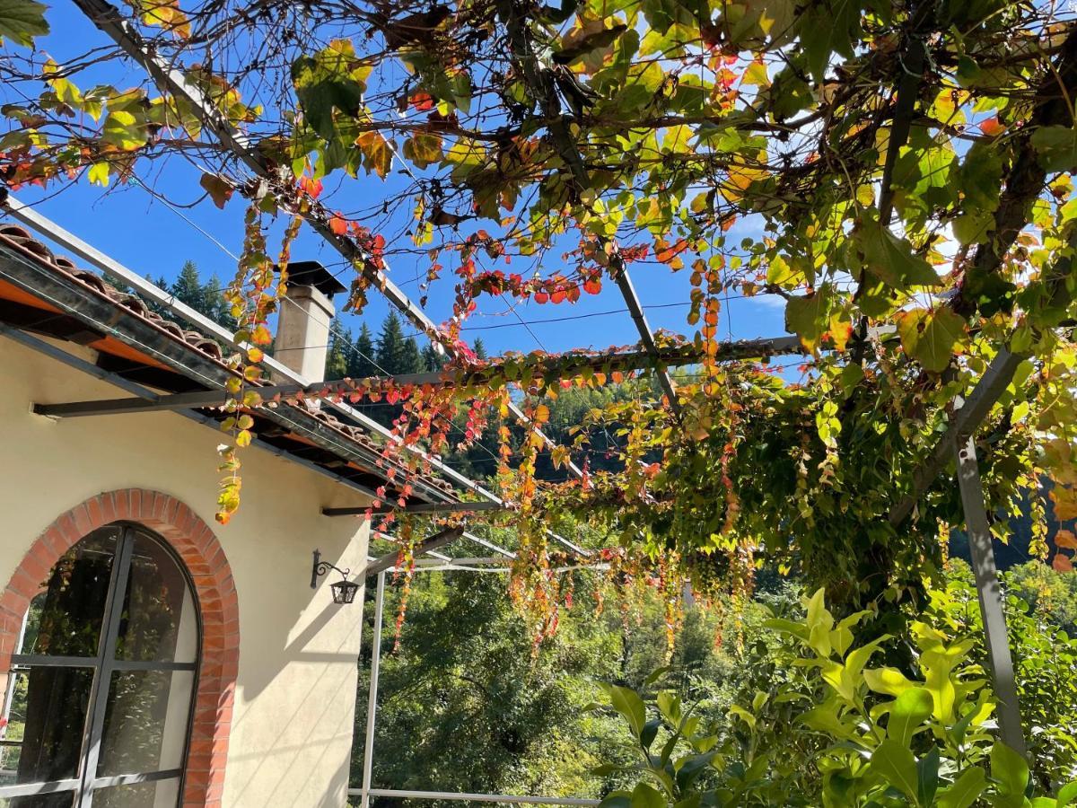 La Limonaia Di Casagrande Villa Барга Екстериор снимка