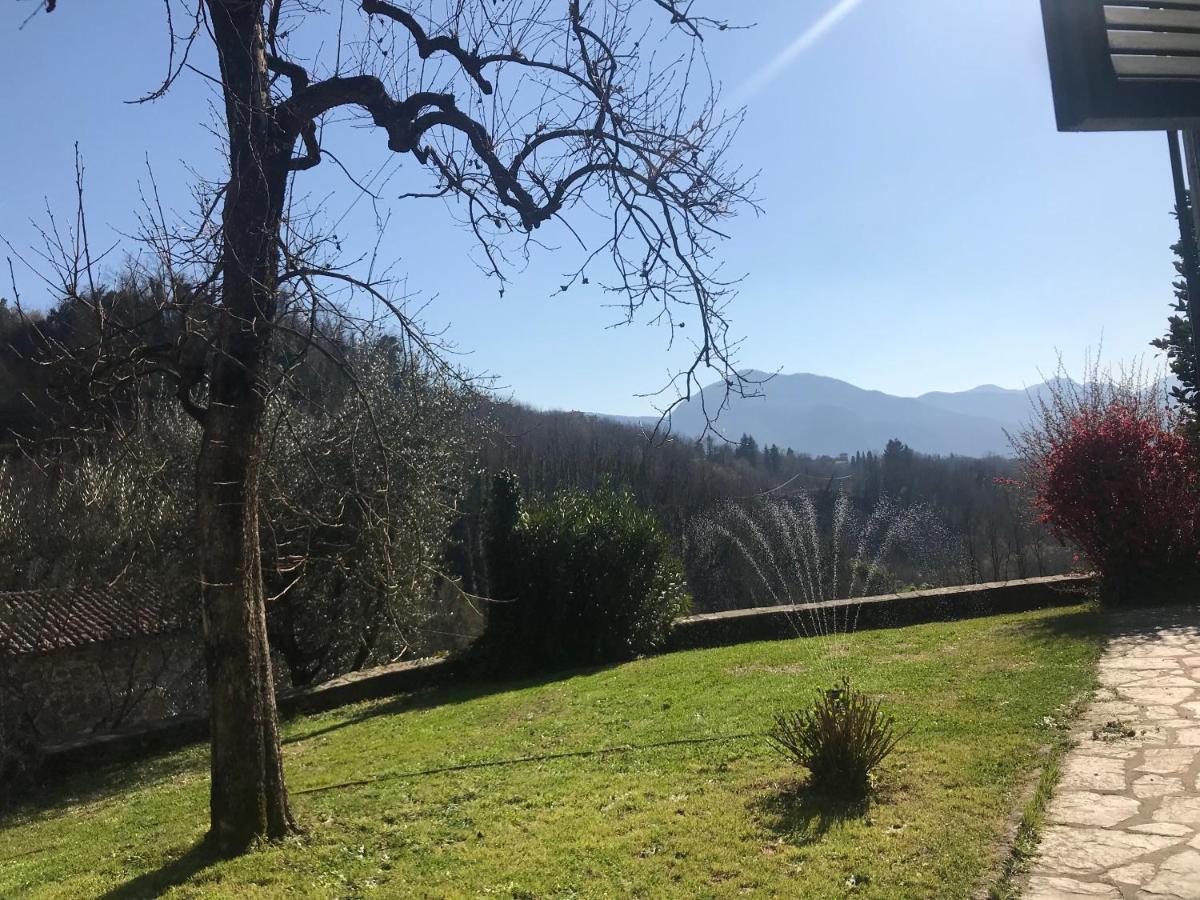La Limonaia Di Casagrande Villa Барга Екстериор снимка