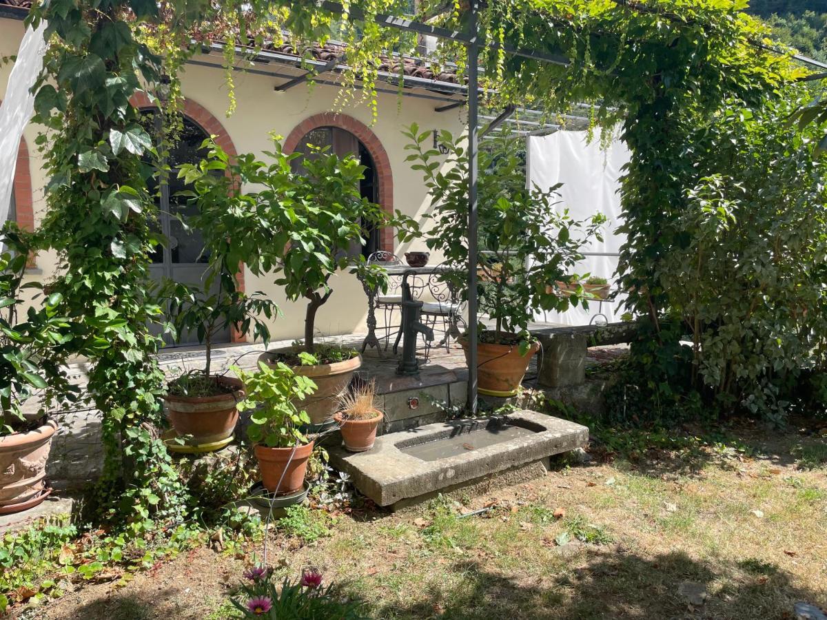 La Limonaia Di Casagrande Villa Барга Екстериор снимка