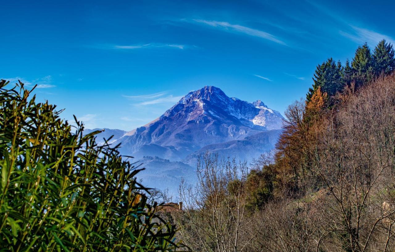 La Limonaia Di Casagrande Villa Барга Екстериор снимка