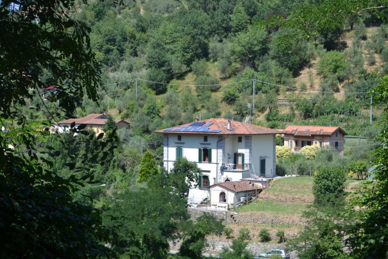 La Limonaia Di Casagrande Villa Барга Екстериор снимка